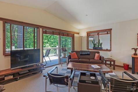 21995-21997 Ansel Court Jenner CA 95450