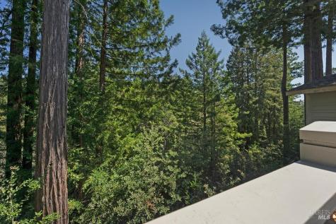21995-21997 Ansel Court Jenner CA 95450