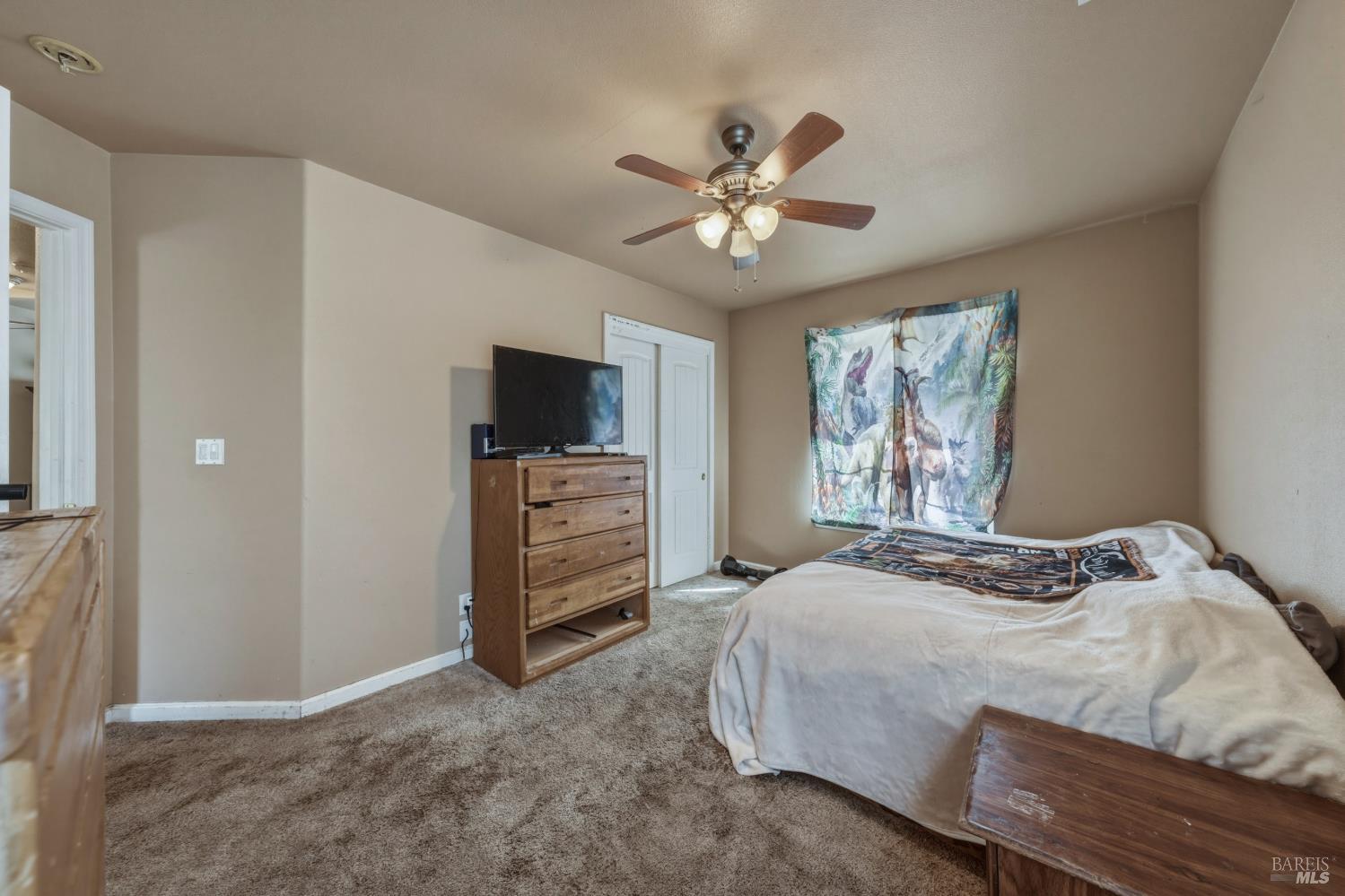 3409 Wolf Creek Road Clearlake Oaks CA 95423
