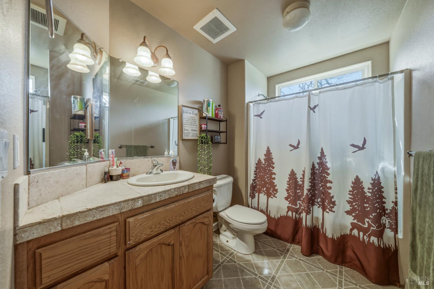 3409 Wolf Creek Road Clearlake Oaks CA 95423