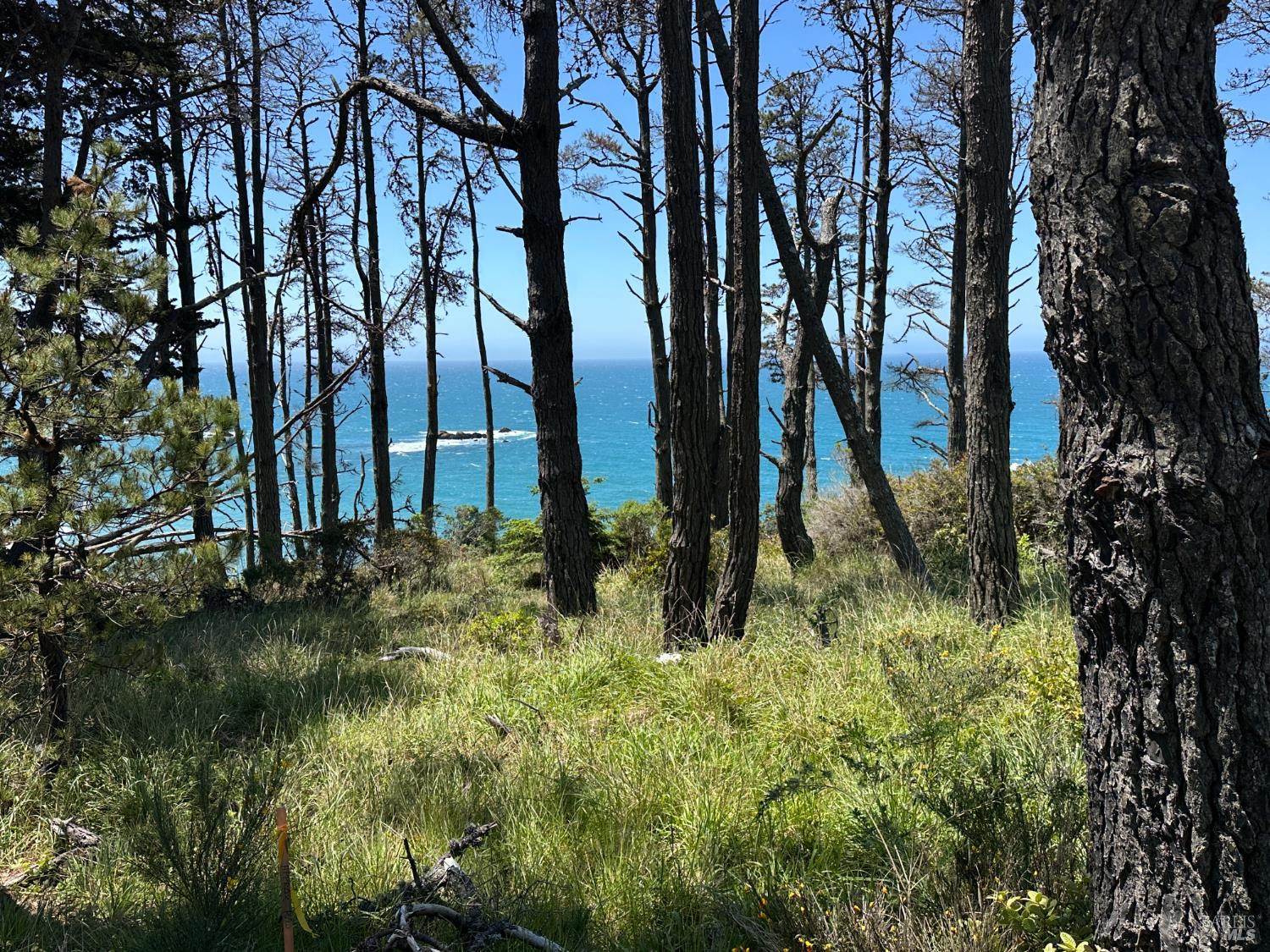 33500 S Highway 1 Gualala CA 95445