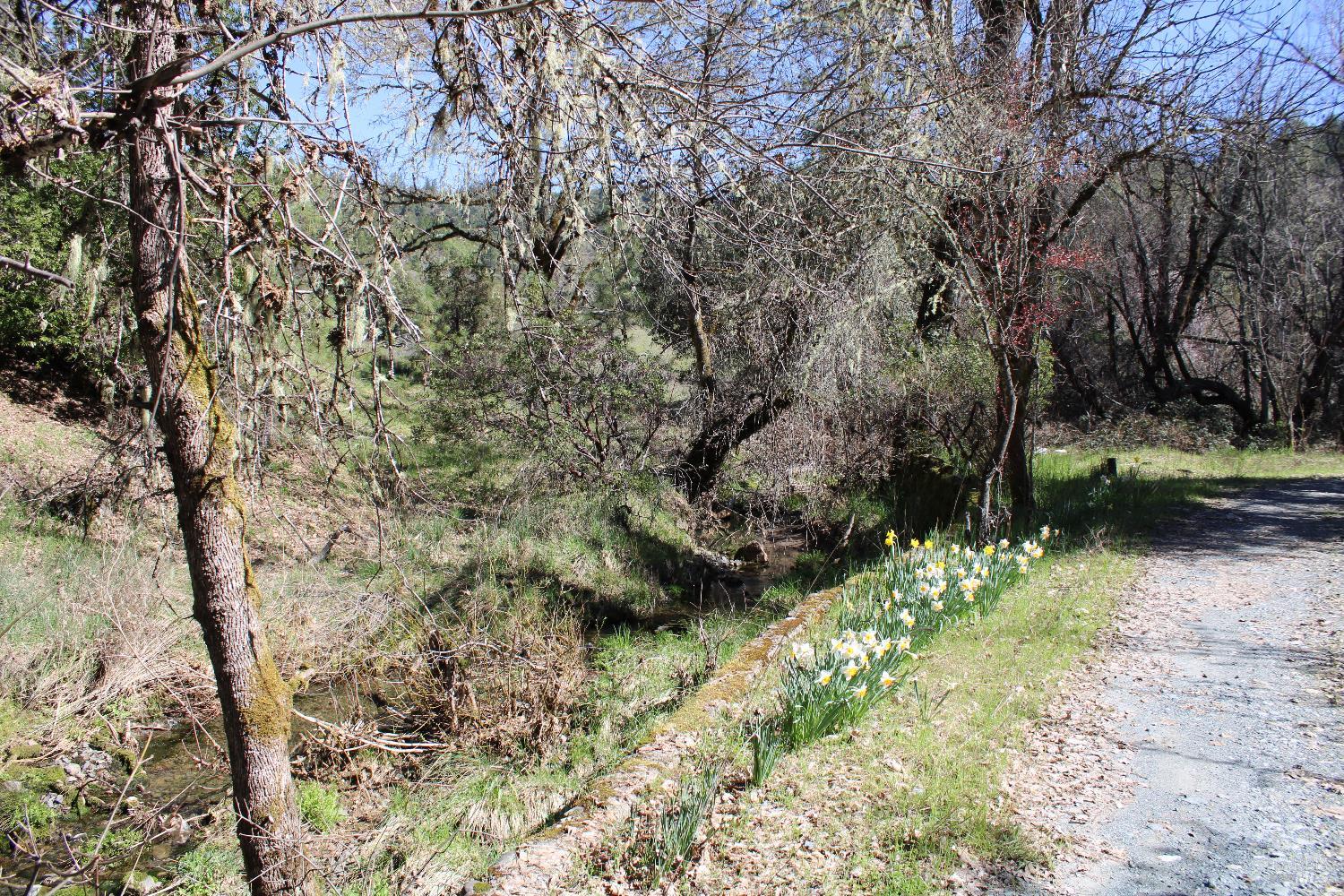 500 Woodman Creek Road Laytonville CA 95454