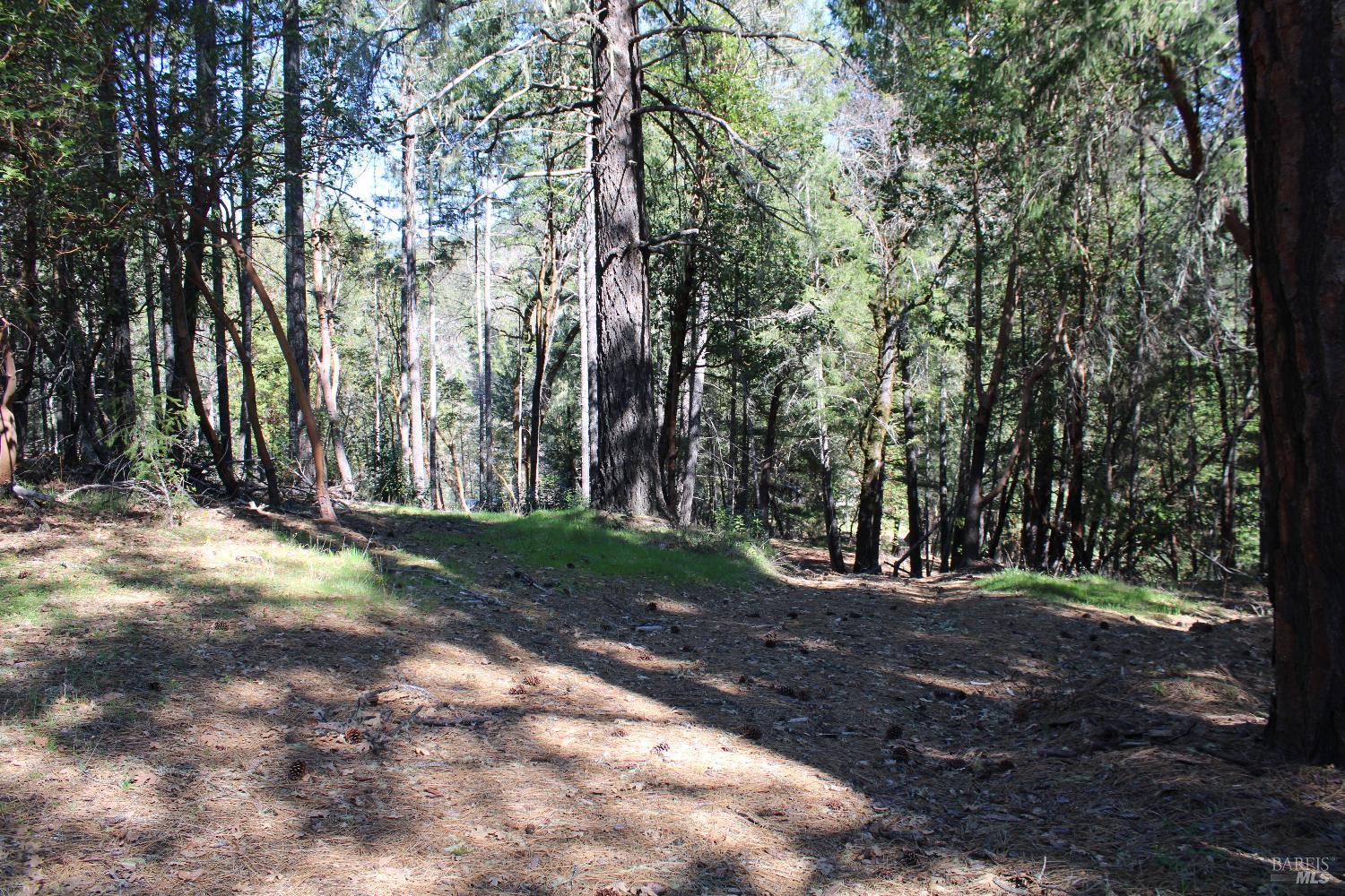 500 Woodman Creek Road Laytonville CA 95454