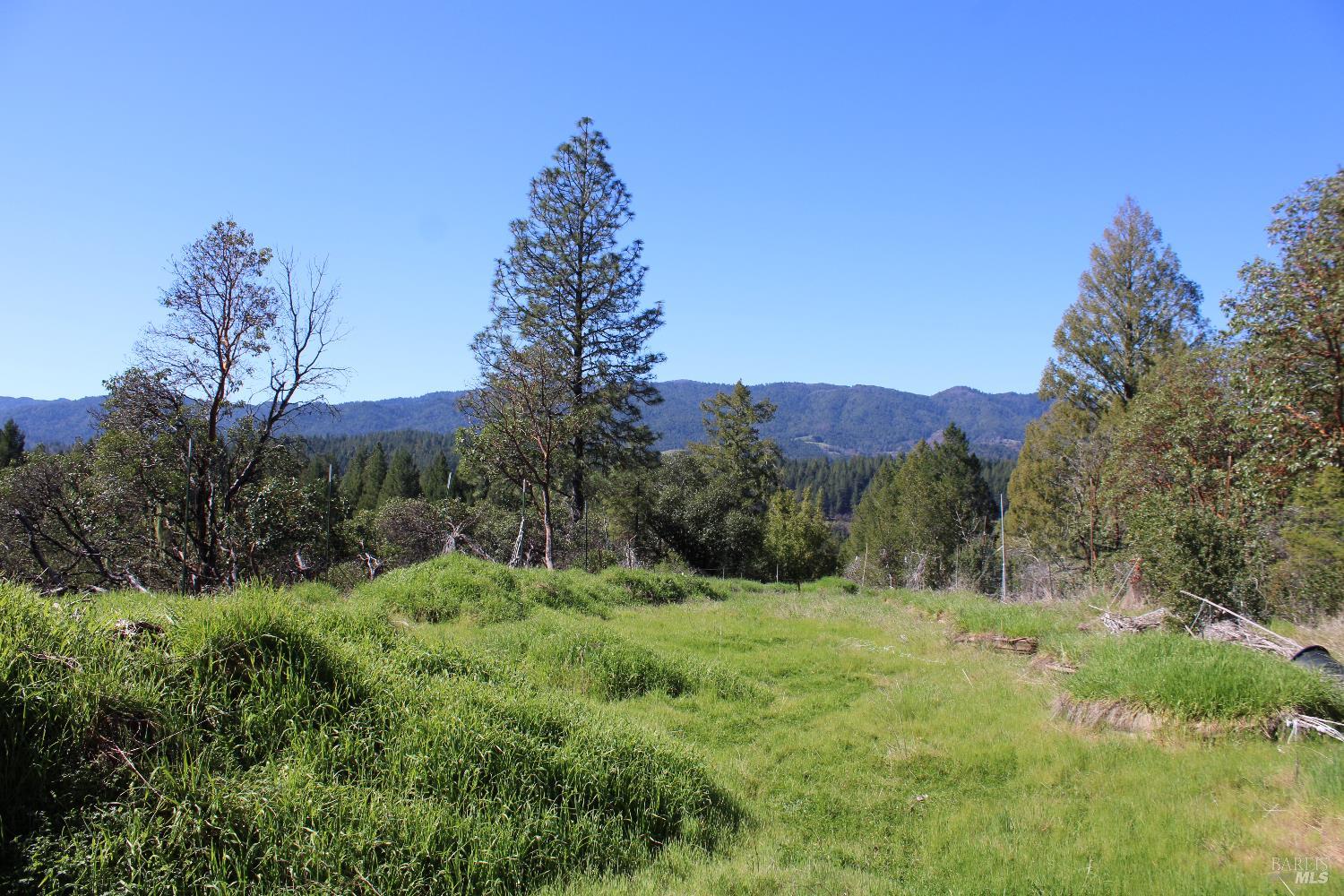 500 Woodman Creek Road Laytonville CA 95454