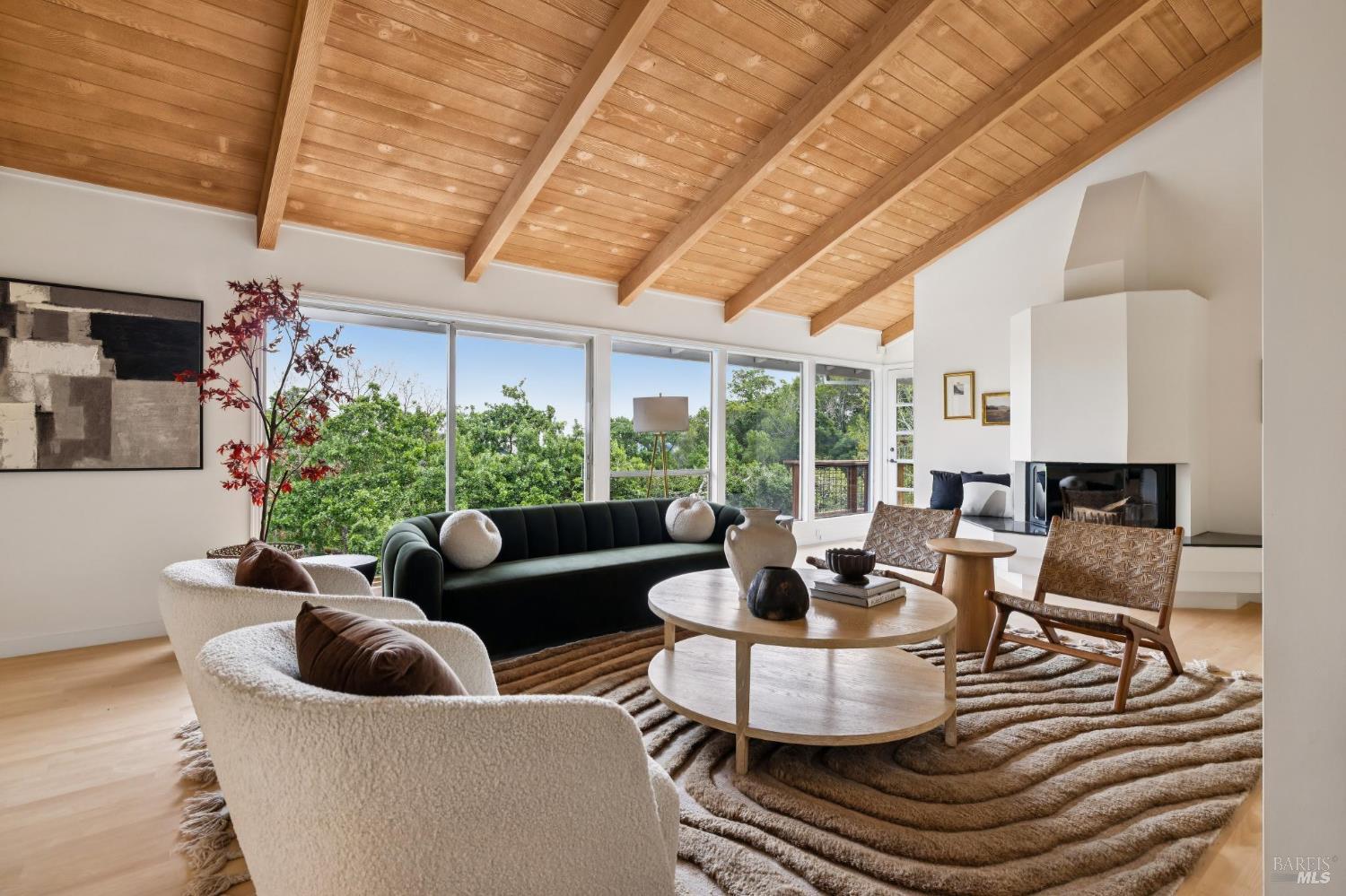 290 Stuyvesant Drive San Anselmo CA 94960