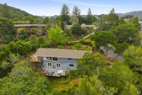 290 Stuyvesant Drive San Anselmo CA 94960