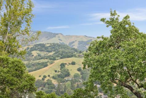 290 Stuyvesant Drive San Anselmo CA 94960