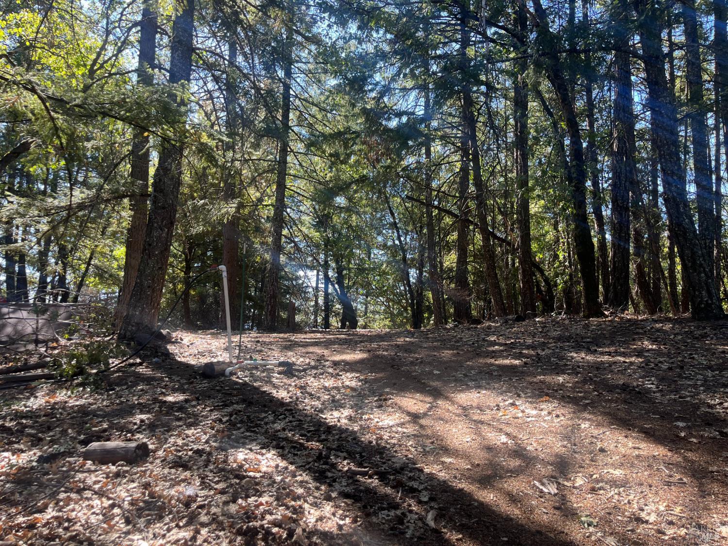 27595 19 N 16 Road Potter Valley CA 95469
