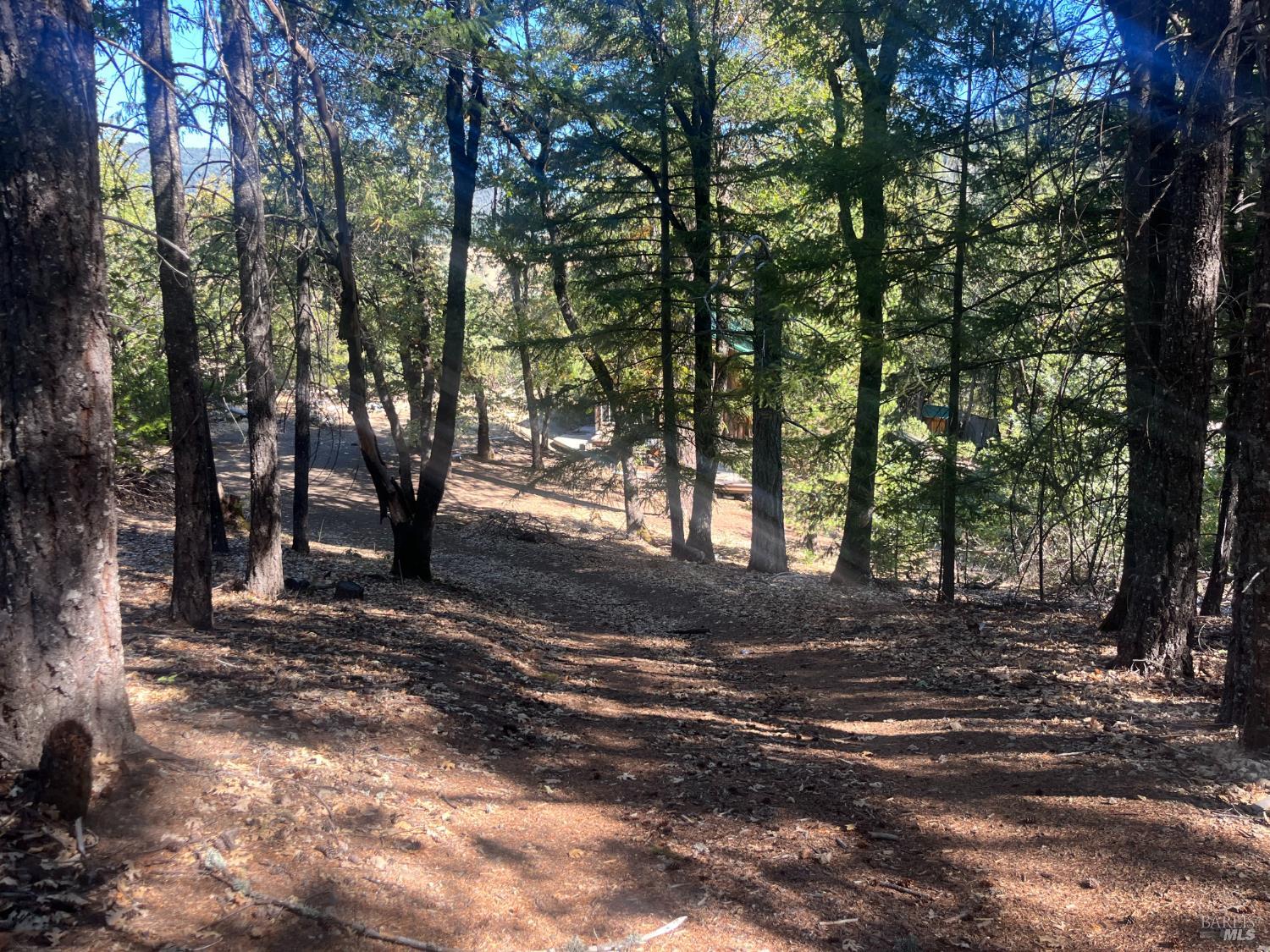 27595 19 N 16 Road Potter Valley CA 95469