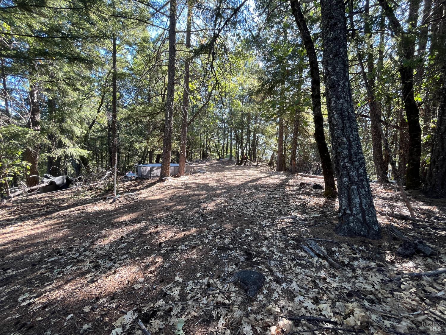 27595 19 N 16 Road Potter Valley CA 95469