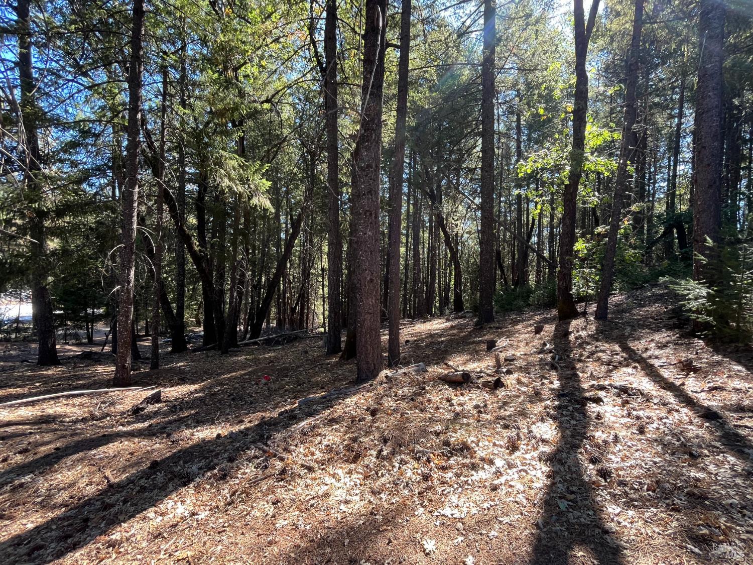 27595 19 N 16 Road Potter Valley CA 95469