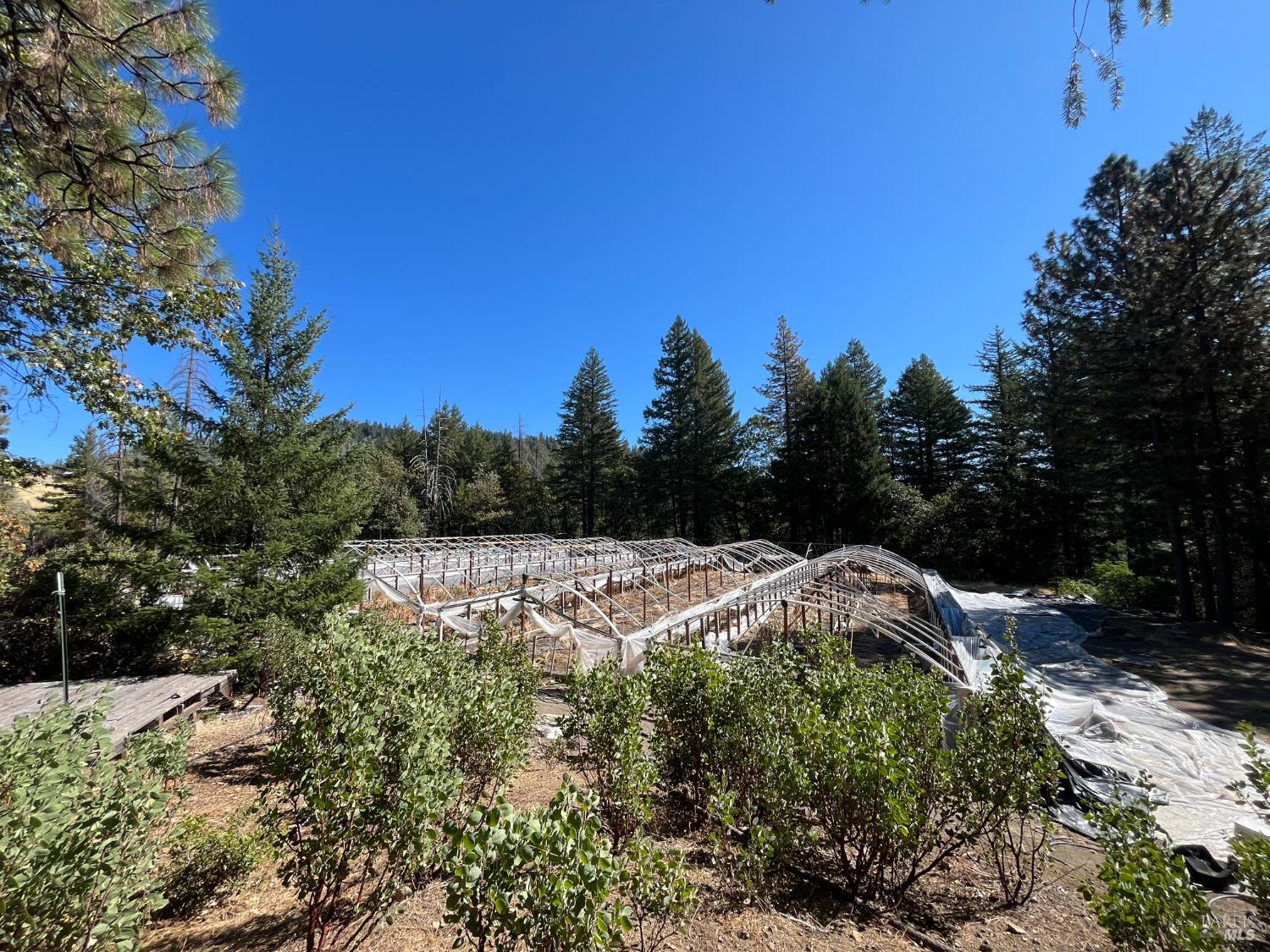 27595 19 N 16 Road Potter Valley CA 95469