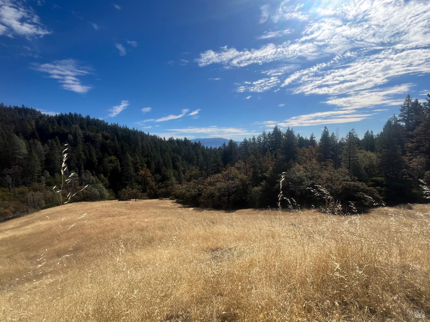 27595 19 N 16 Road Potter Valley CA 95469