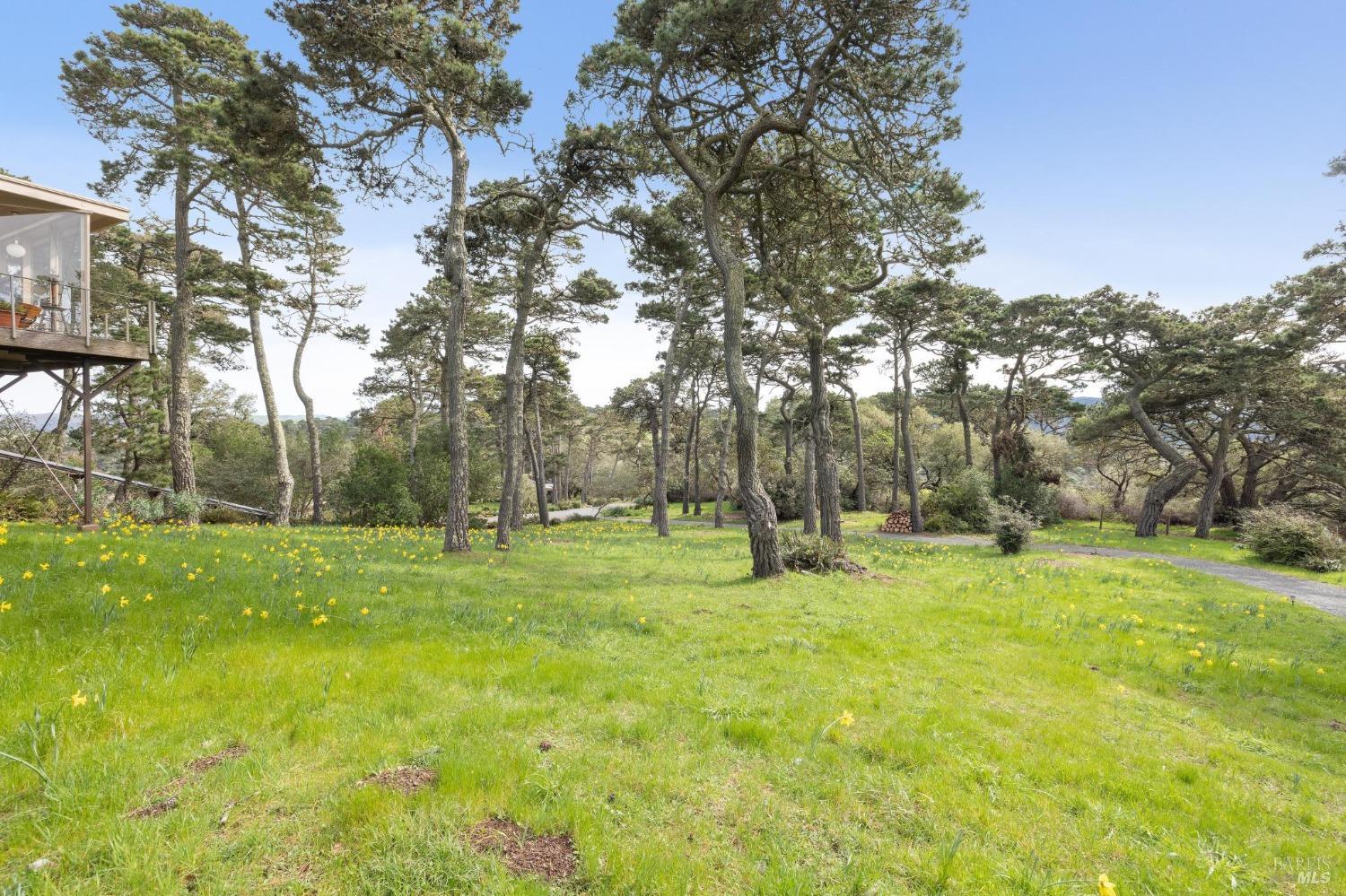 1208 Pierce Point Road Inverness CA 94937