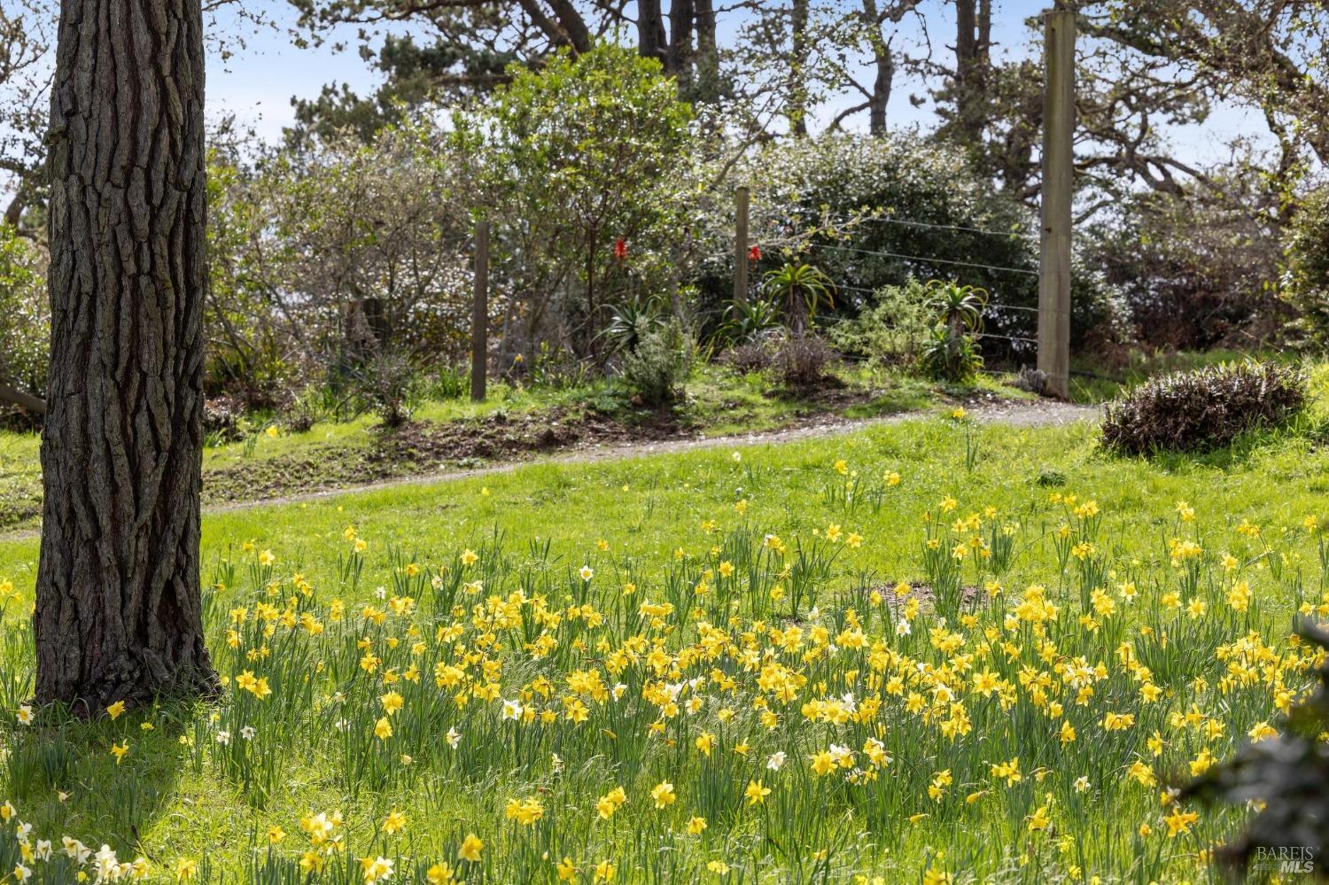 1208 Pierce Point Road Inverness CA 94937