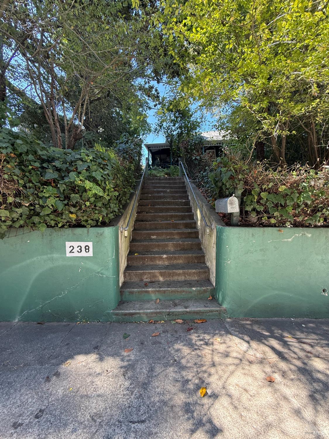 238 Throckmorton Avenue Mill Valley CA 94941