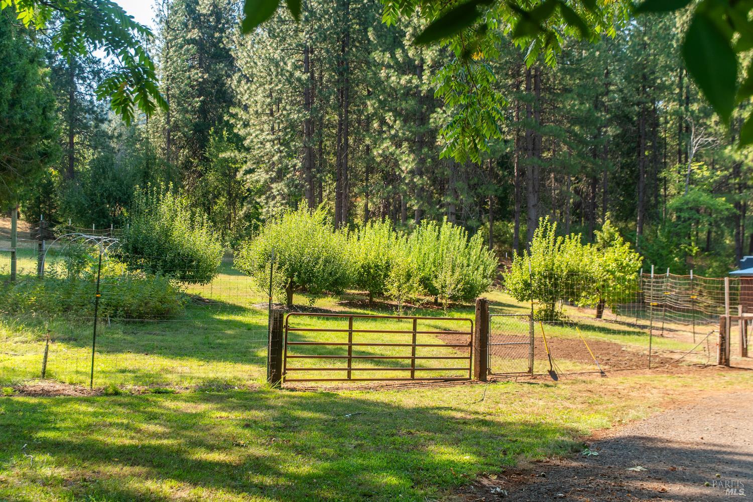 0-0 Summit Lake Road Big Bend CA 96065