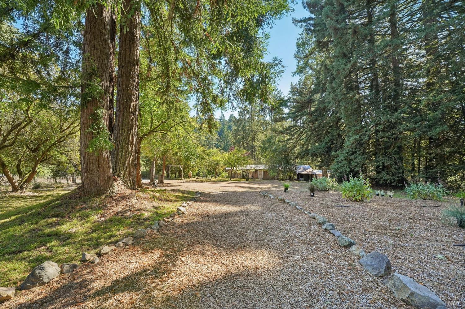 16560 Coleman Valley Road Occidental CA 95465