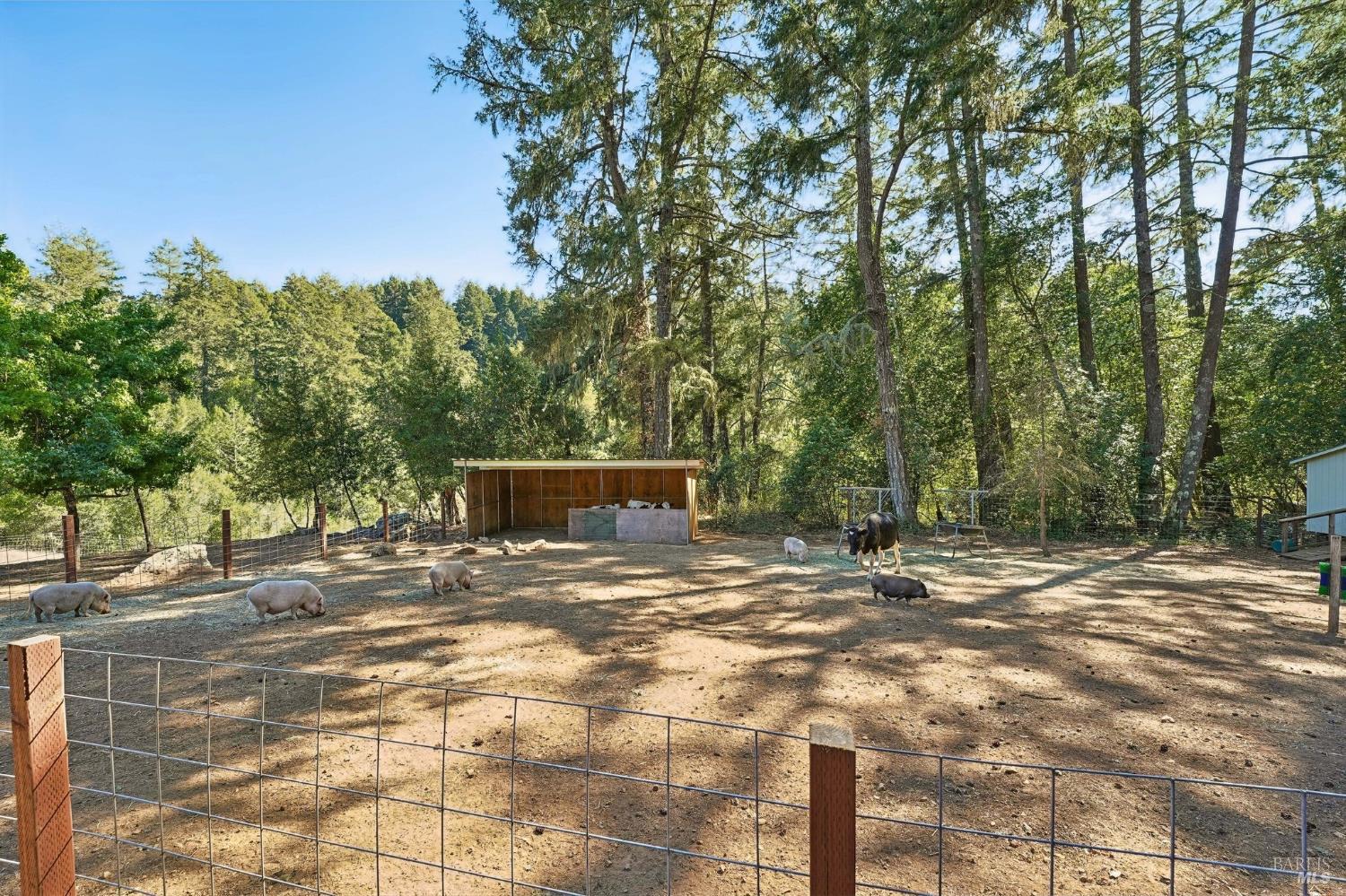 16560 Coleman Valley Road Occidental CA 95465