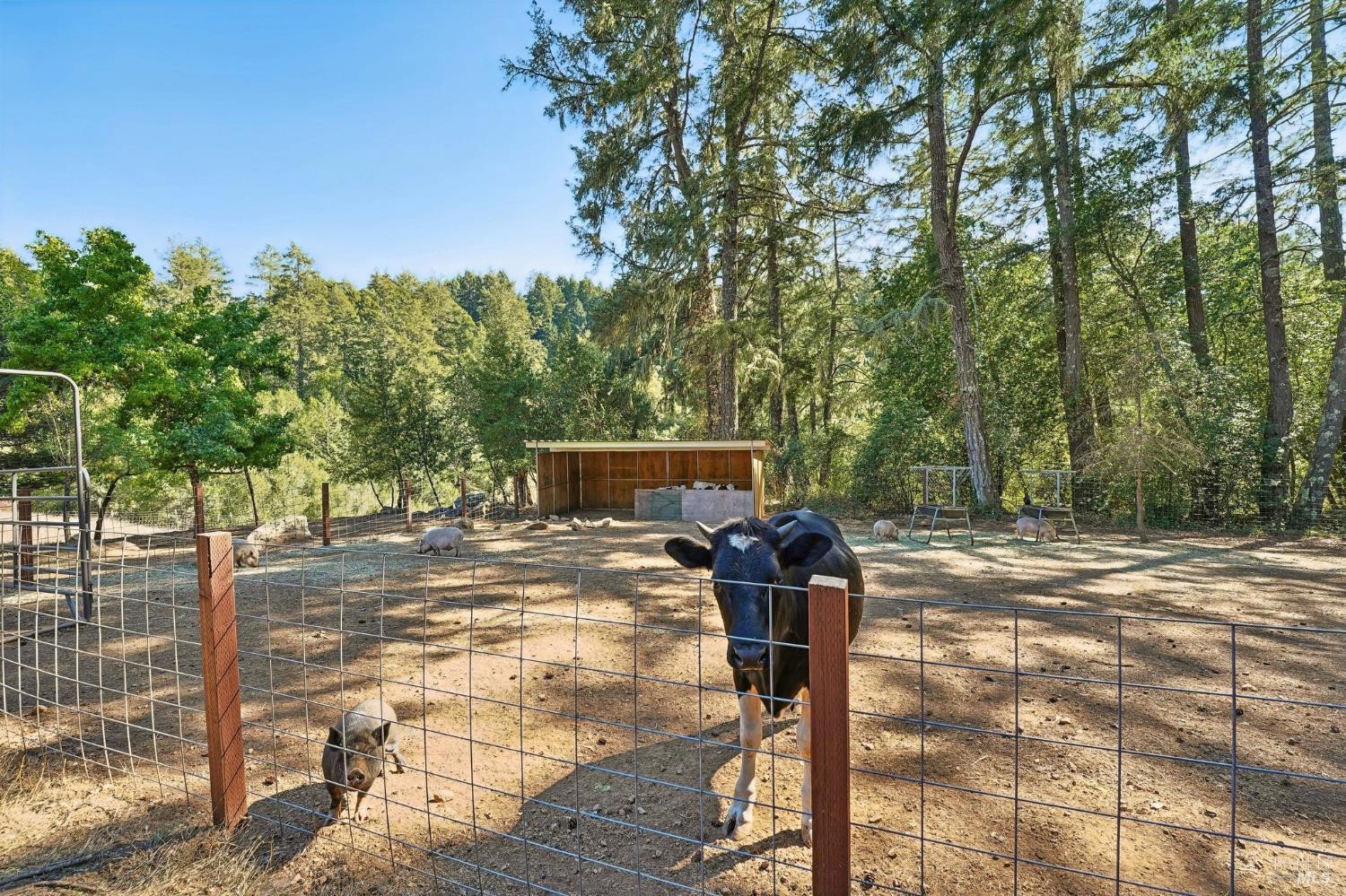 16560 Coleman Valley Road Occidental CA 95465