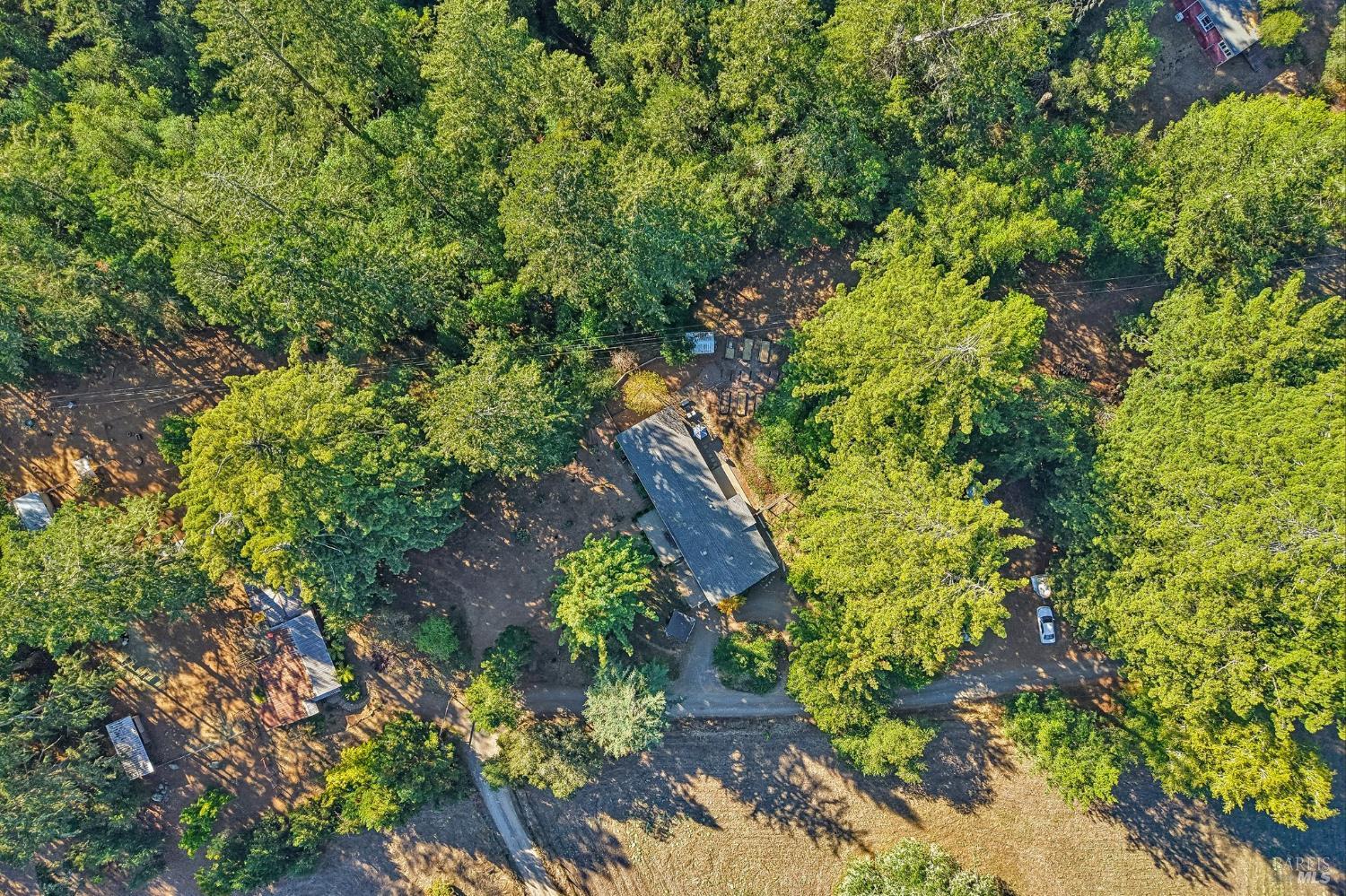 16560 Coleman Valley Road Occidental CA 95465