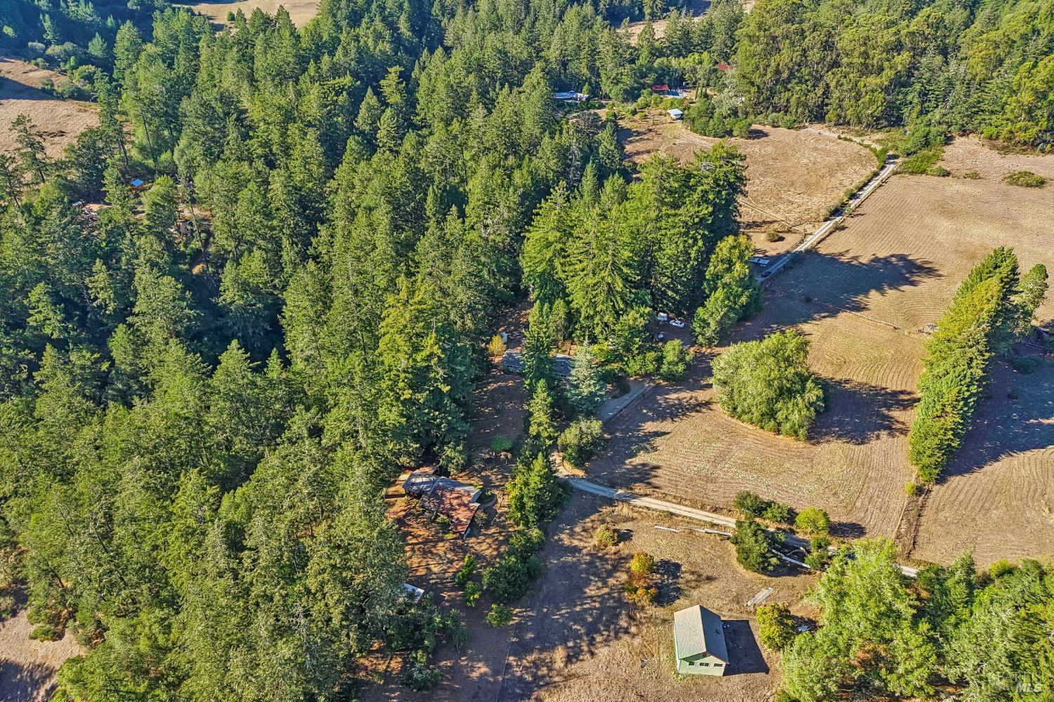 16560 Coleman Valley Road Occidental CA 95465