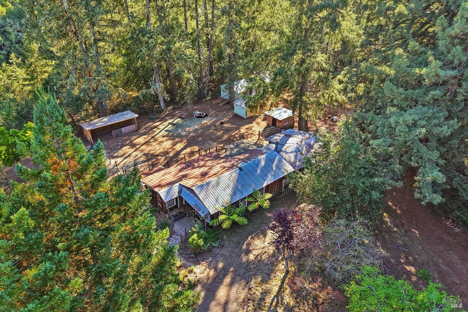 16560 Coleman Valley Road Occidental CA 95465
