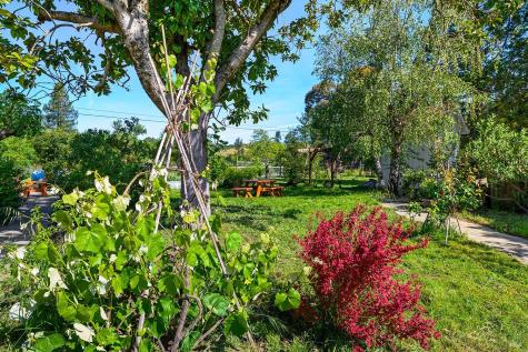 431 Sexton Road Sebastopol CA 95472