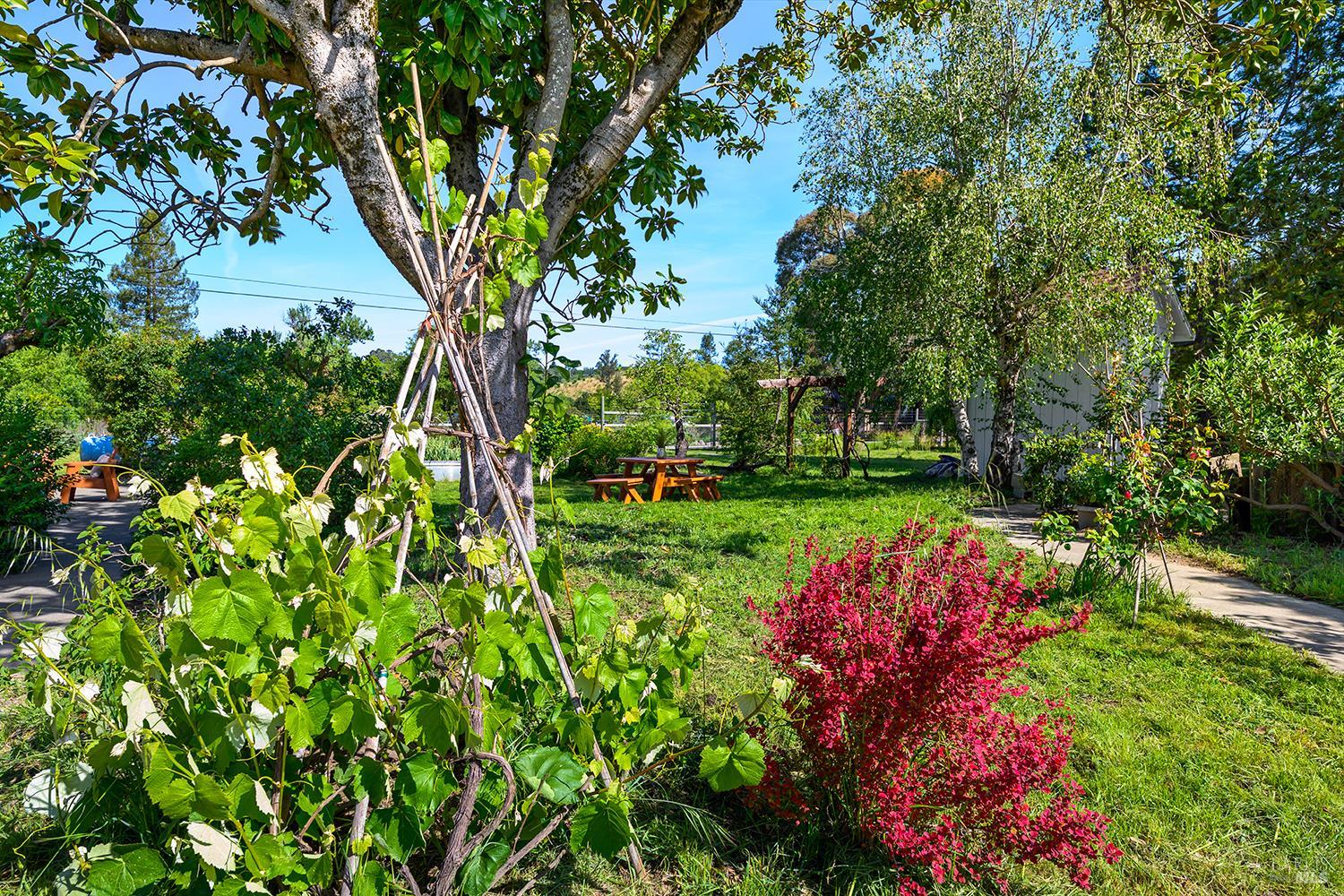 431 Sexton Road Sebastopol CA 95472