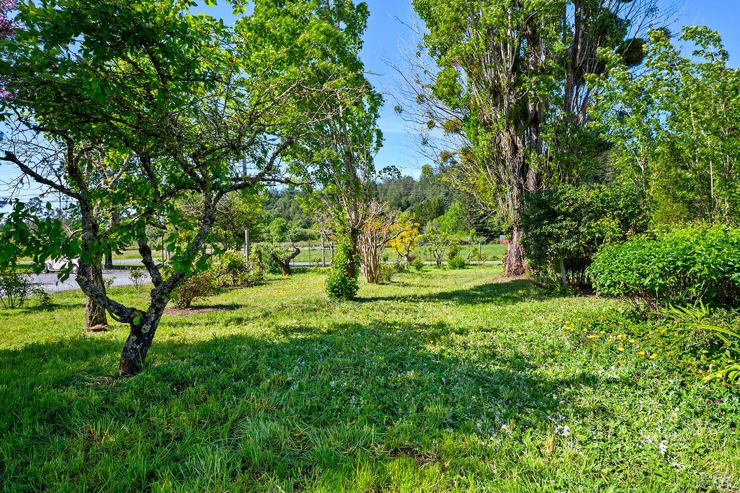 431 Sexton Road Sebastopol CA 95472