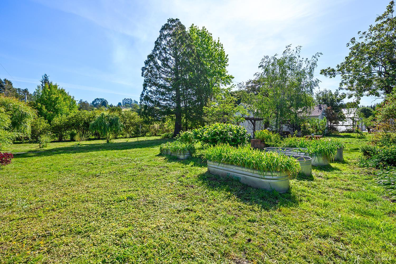 431 Sexton Road Sebastopol CA 95472