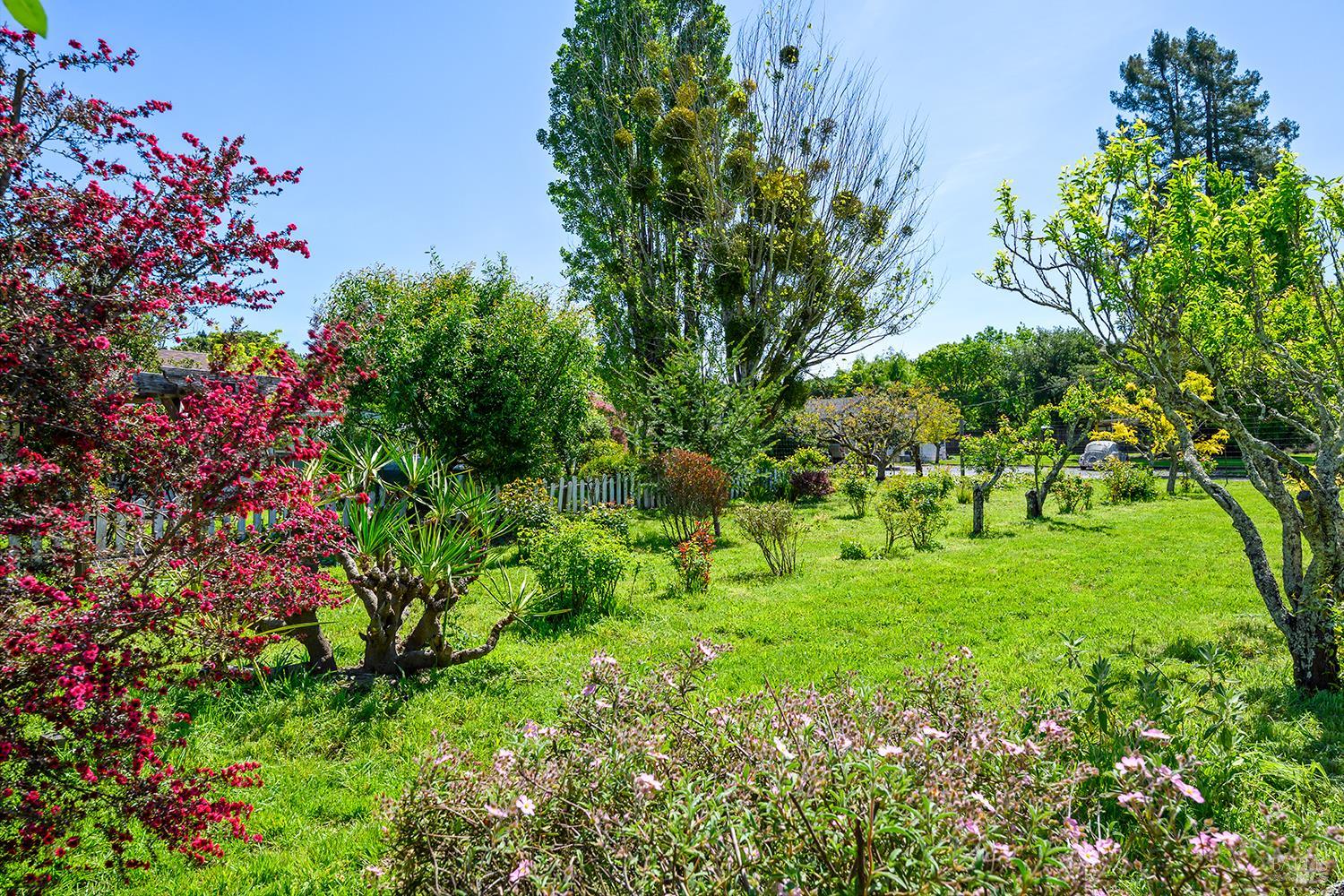 431 Sexton Road Sebastopol CA 95472
