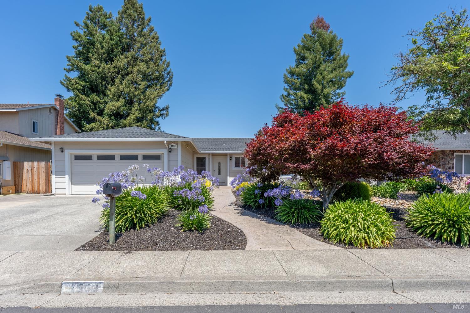 4558 Flores Avenue Rohnert Park CA 94928