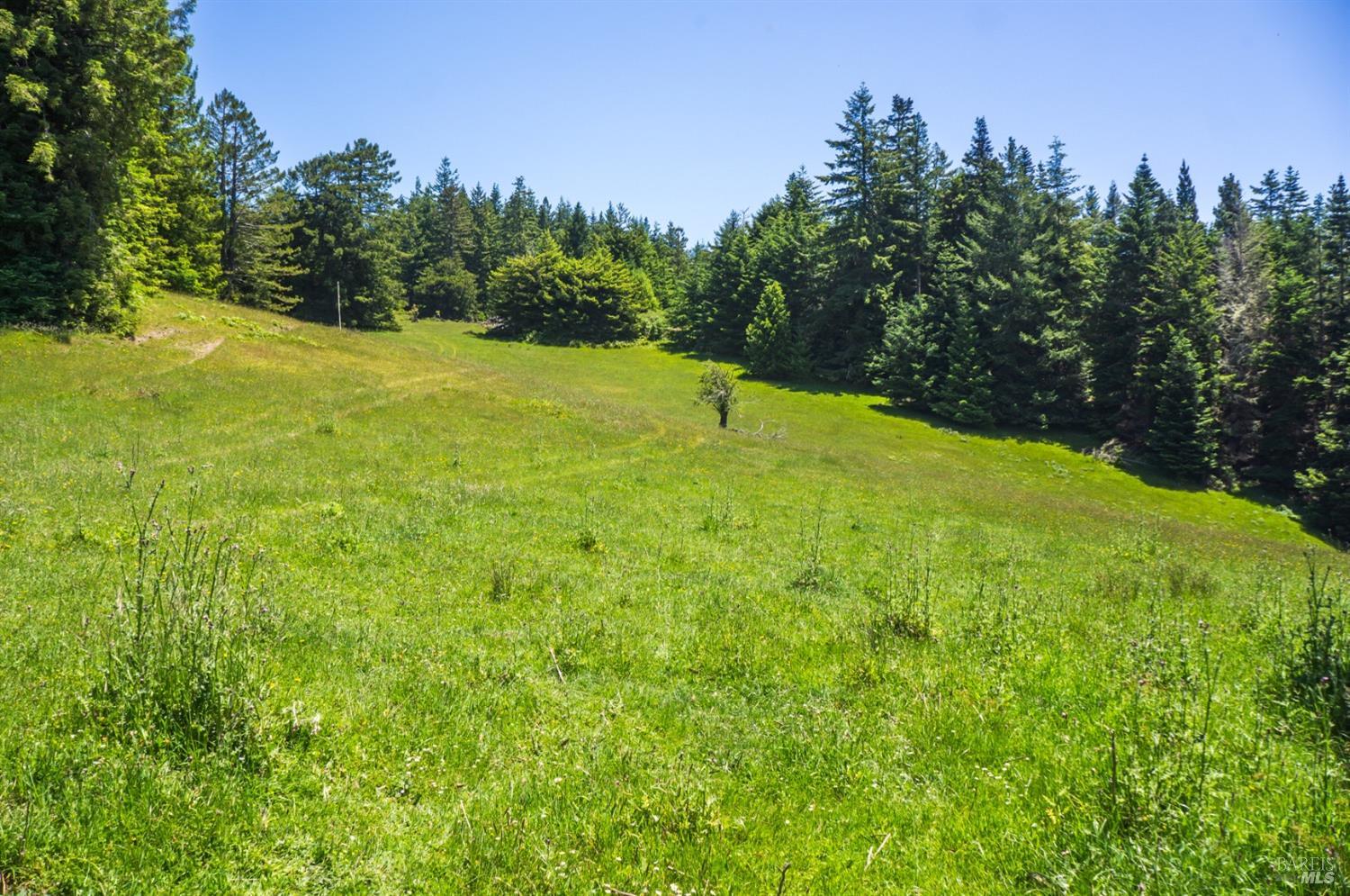16401 S Highway 1 Manchester CA 95459