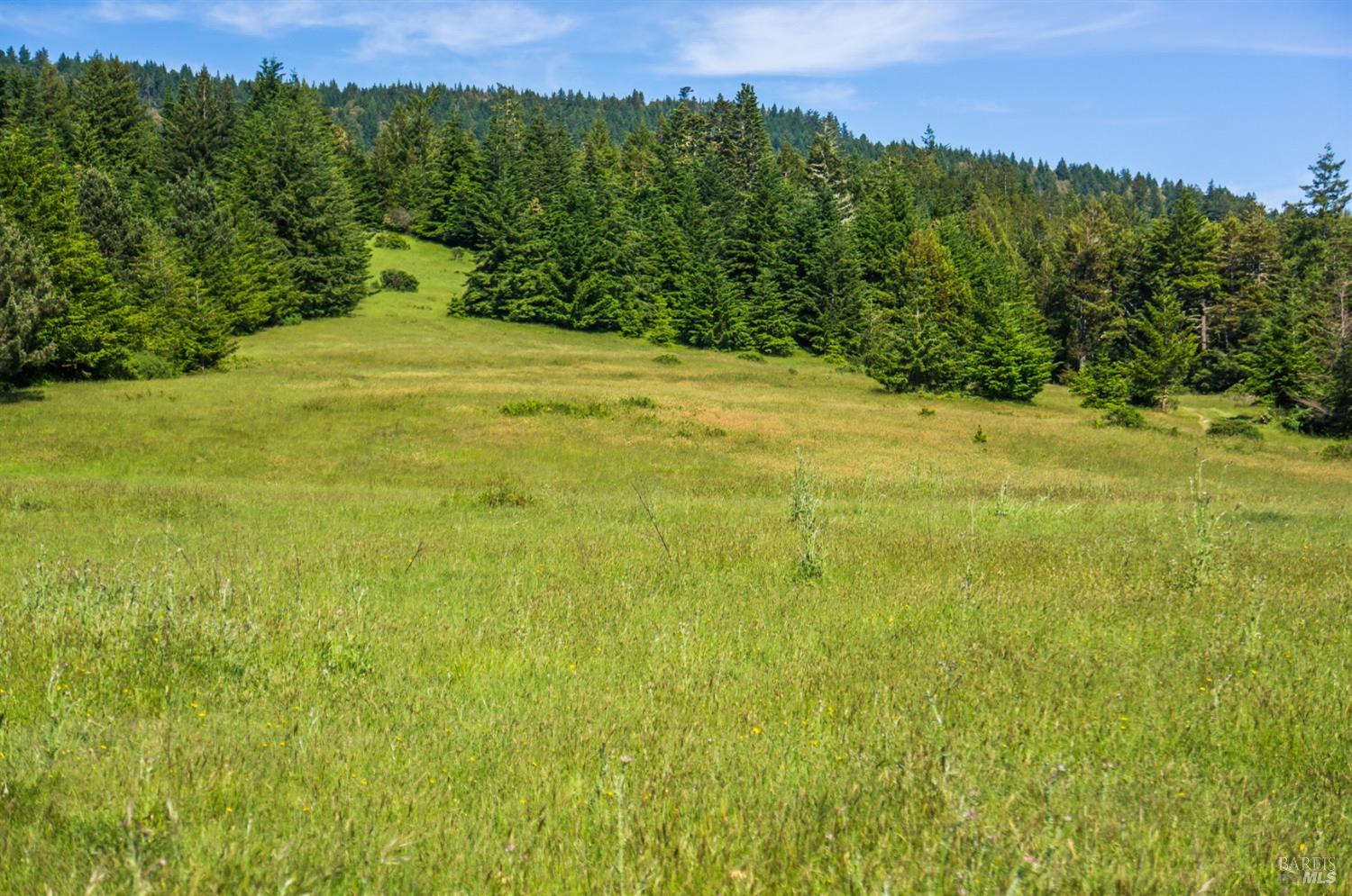16401 S Highway 1 Manchester CA 95459