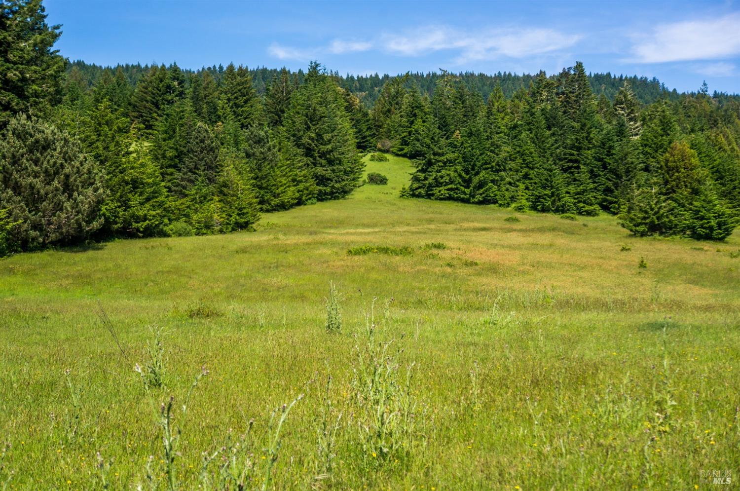 16401 S Highway 1 Manchester CA 95459