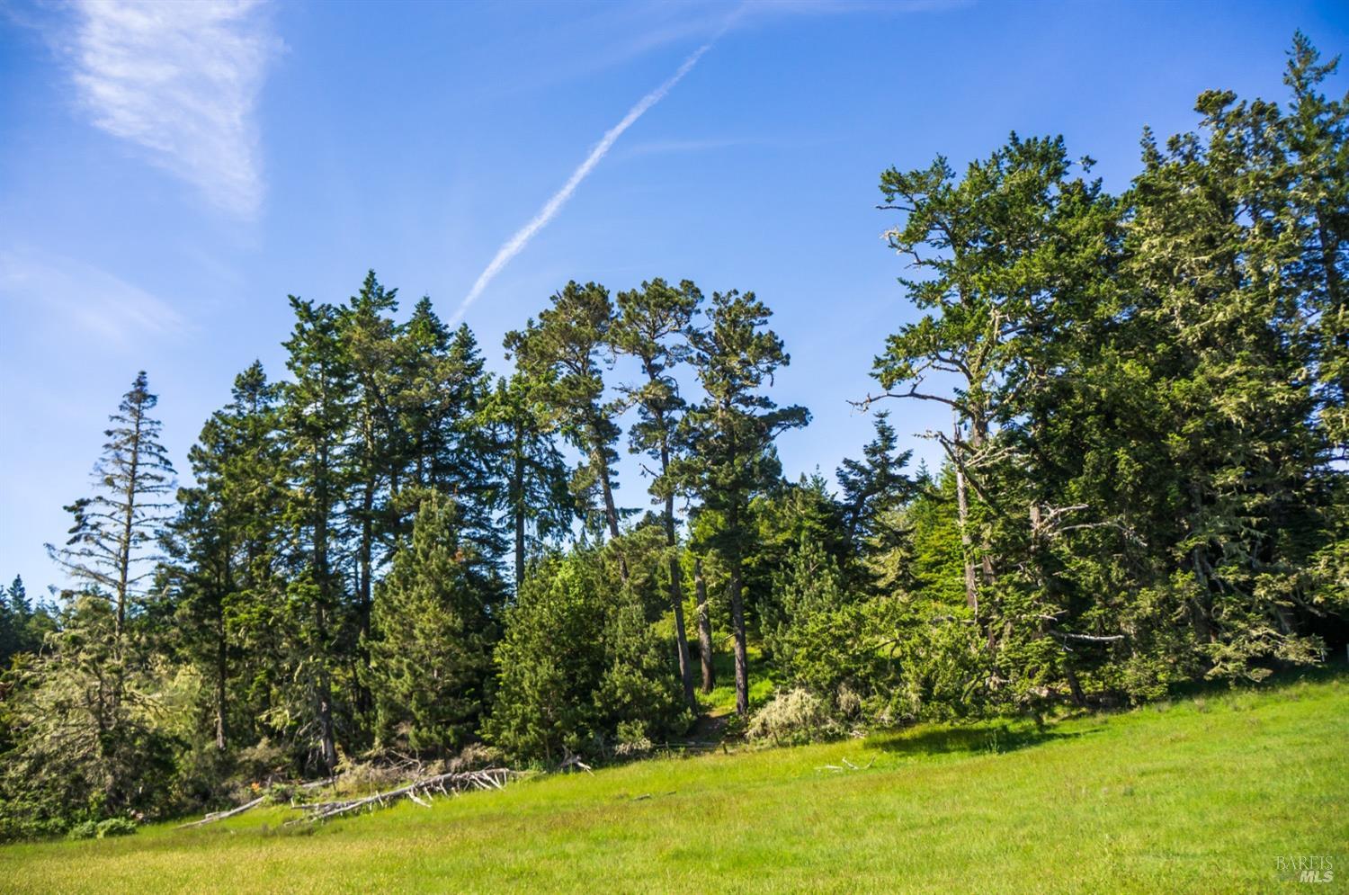 16401 S Highway 1 Manchester CA 95459