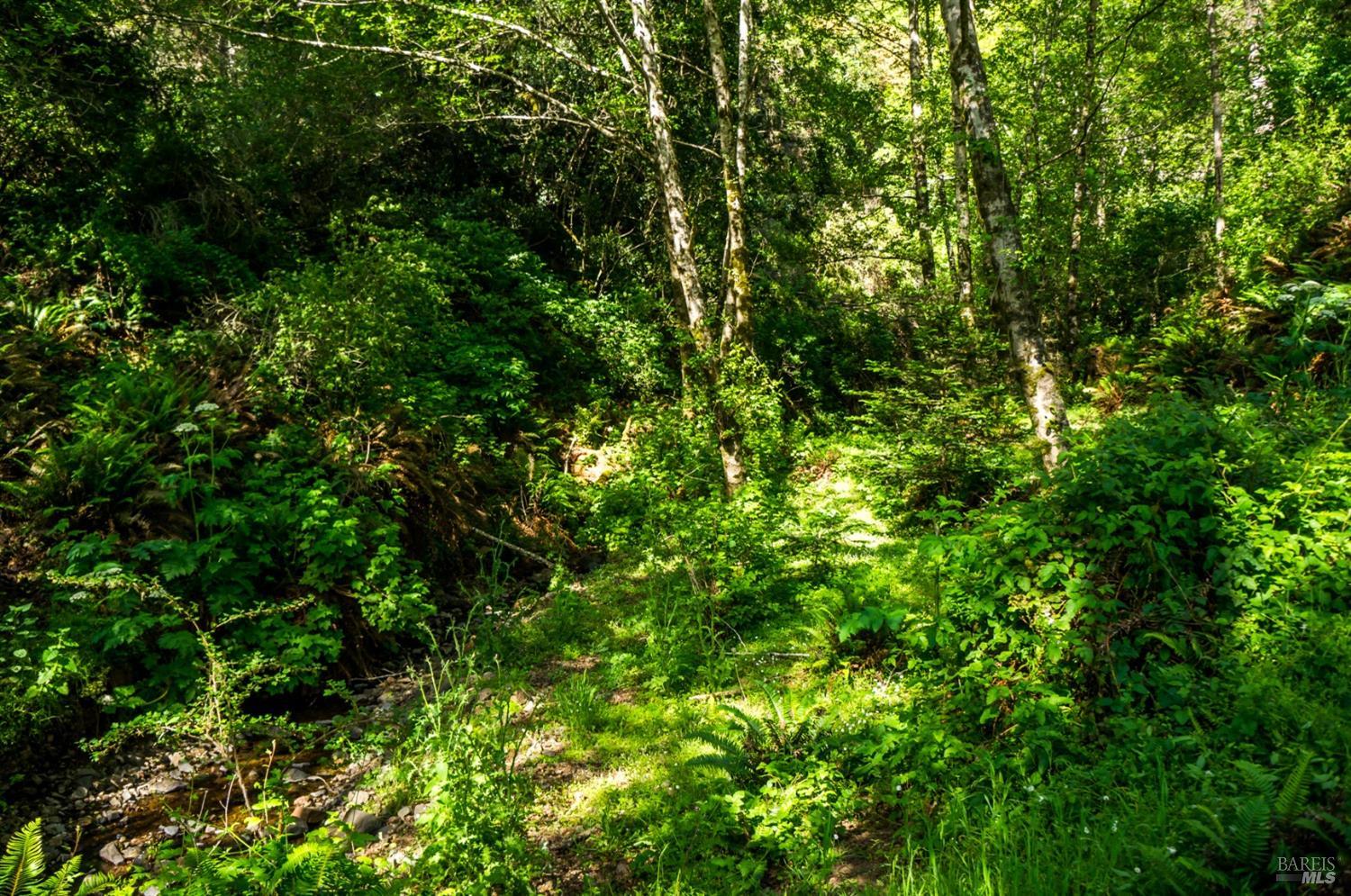 16401 S Highway 1 Manchester CA 95459