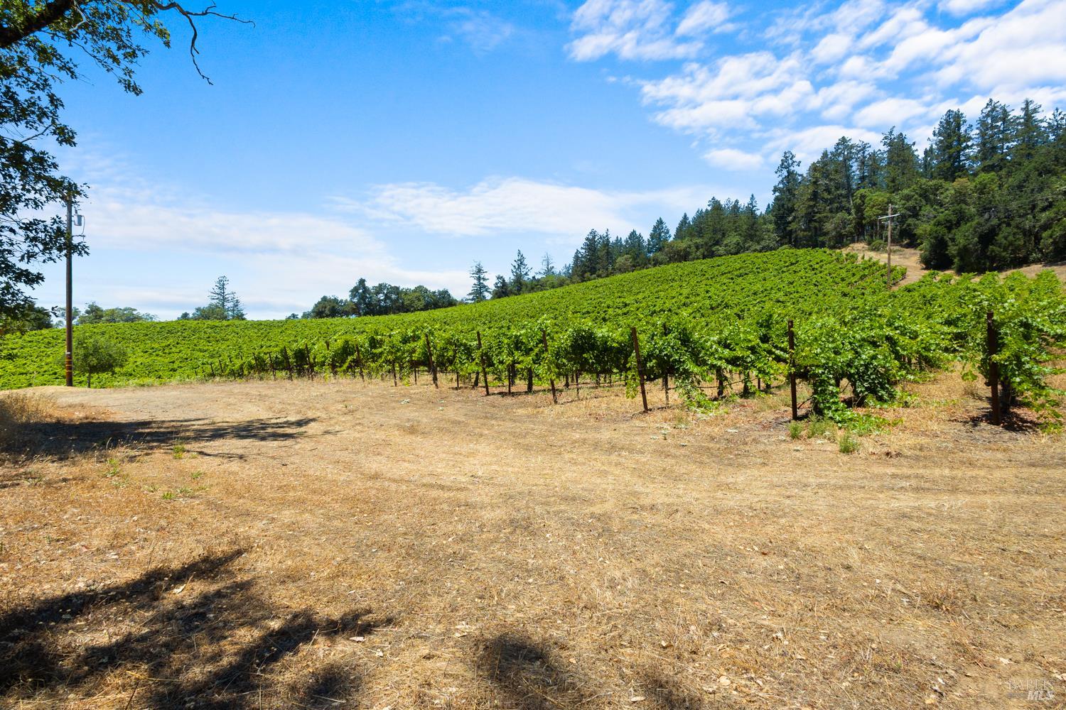 31920 Pine Mountain Road Cloverdale CA 95425