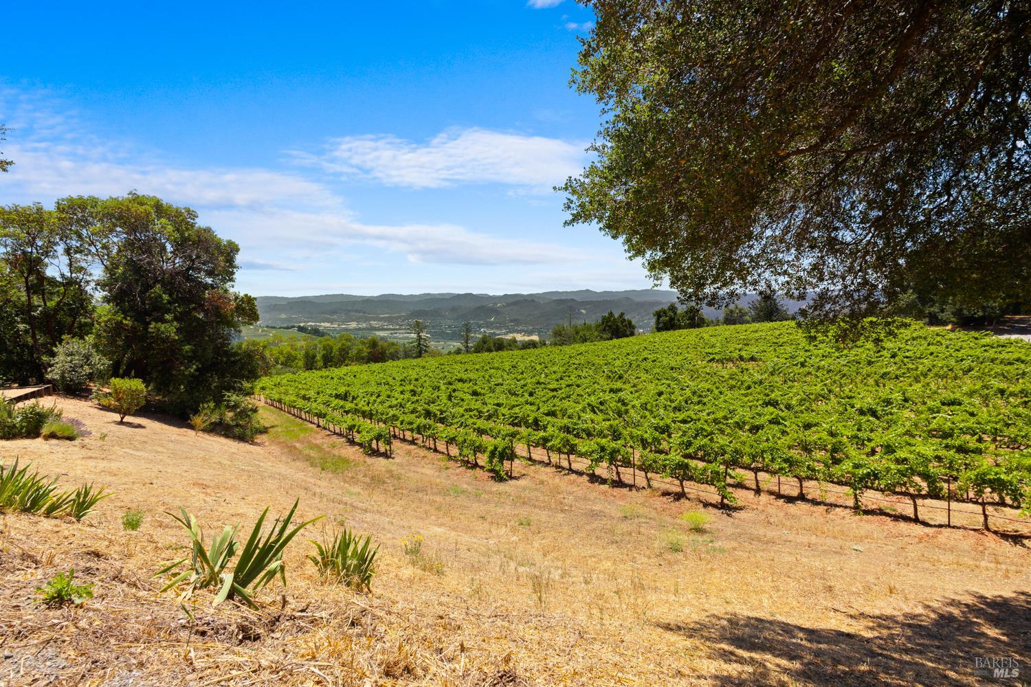 31920 Pine Mountain Road Cloverdale CA 95425
