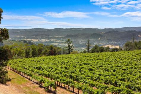 31920 Pine Mountain Road Cloverdale CA 95425