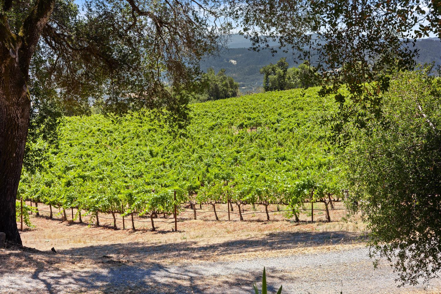31920 Pine Mountain Road Cloverdale CA 95425