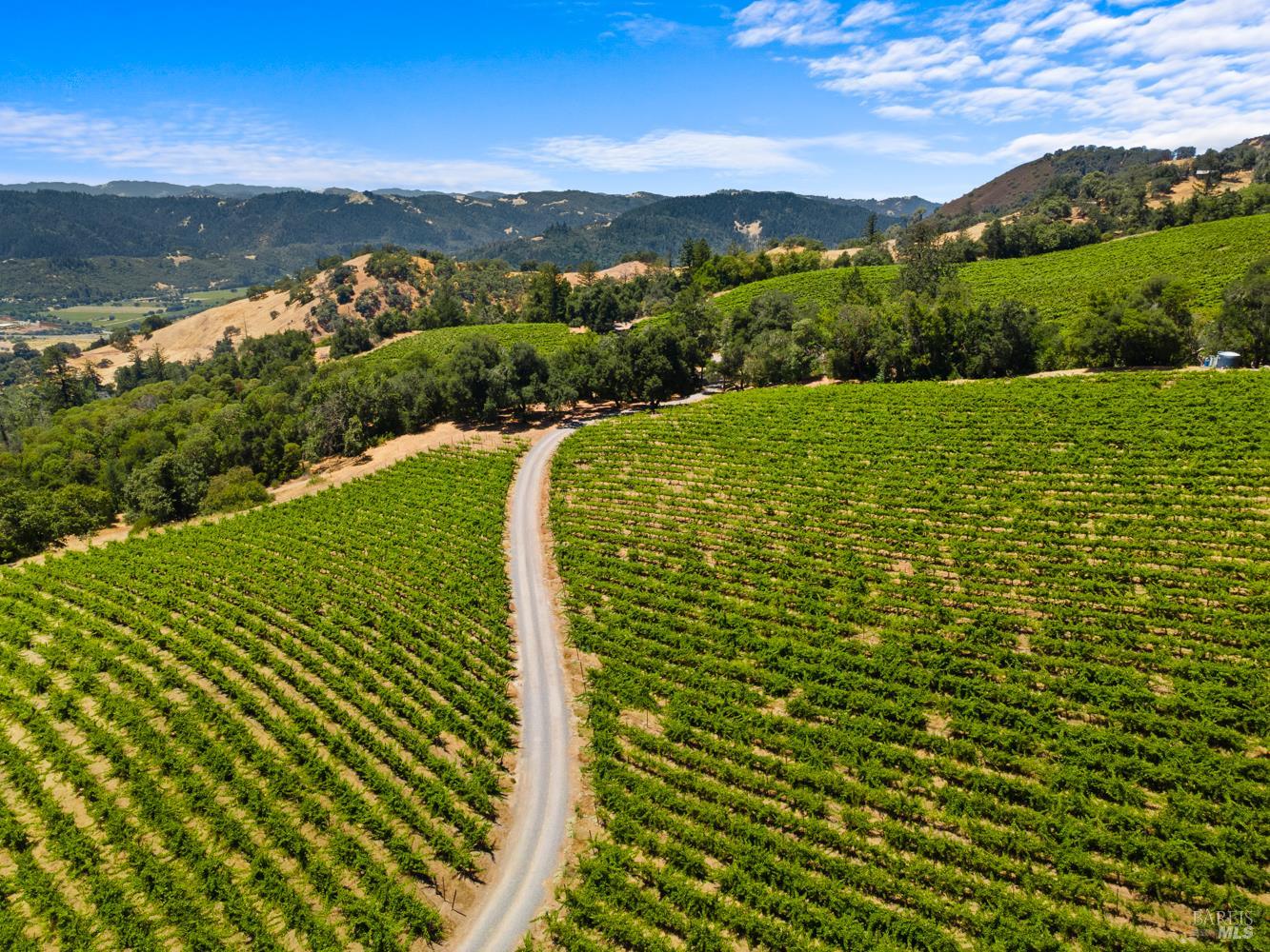 31920 Pine Mountain Road Cloverdale CA 95425