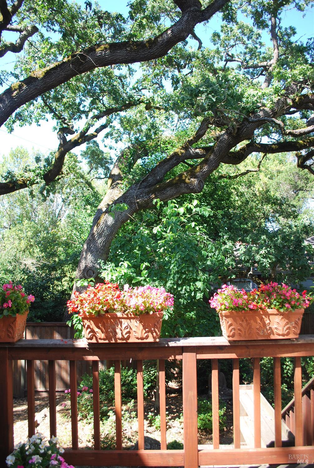2 Fullerton Lane Petaluma CA 94952