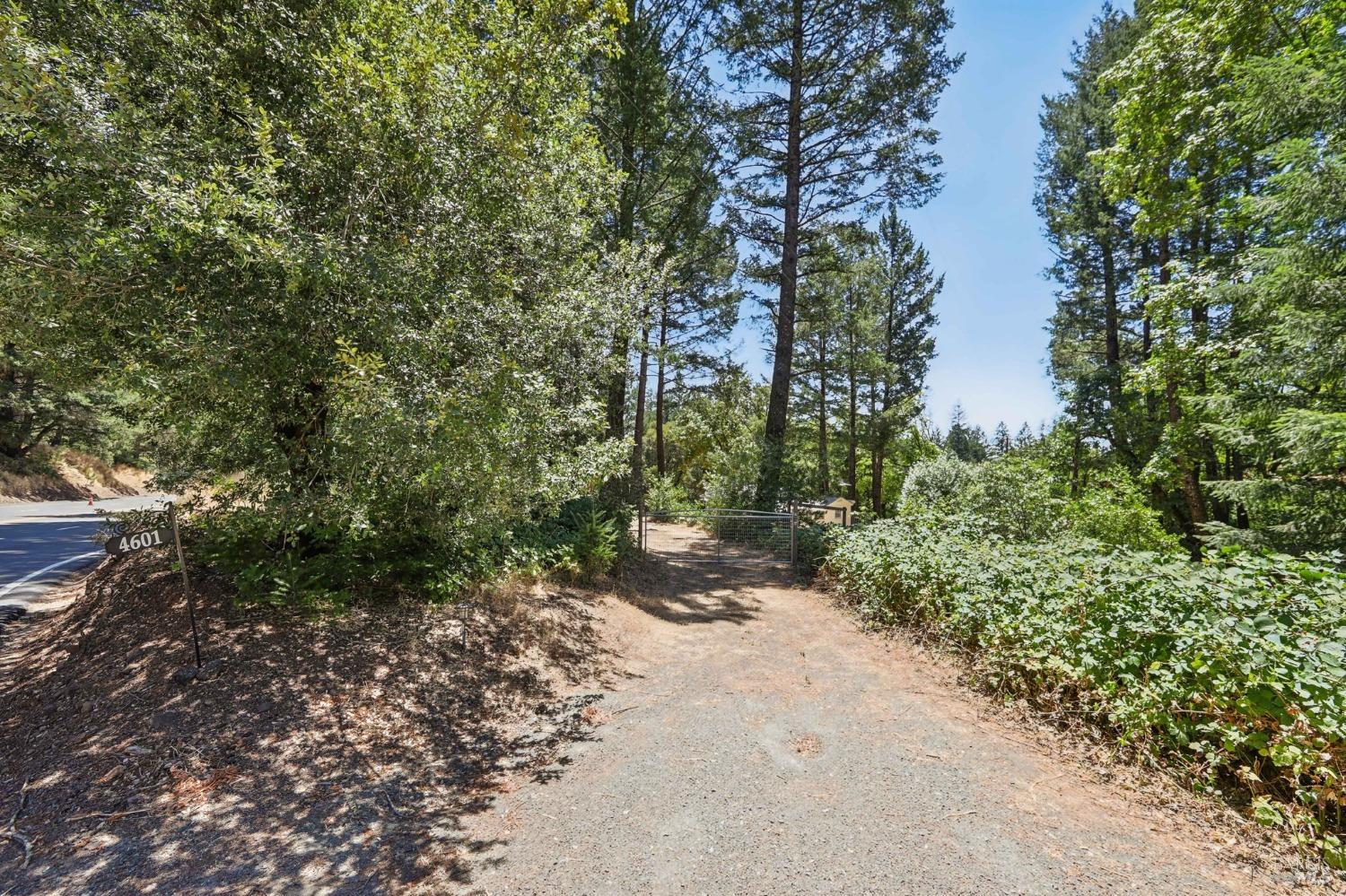 4601 Lake County Highway Calistoga CA 94515