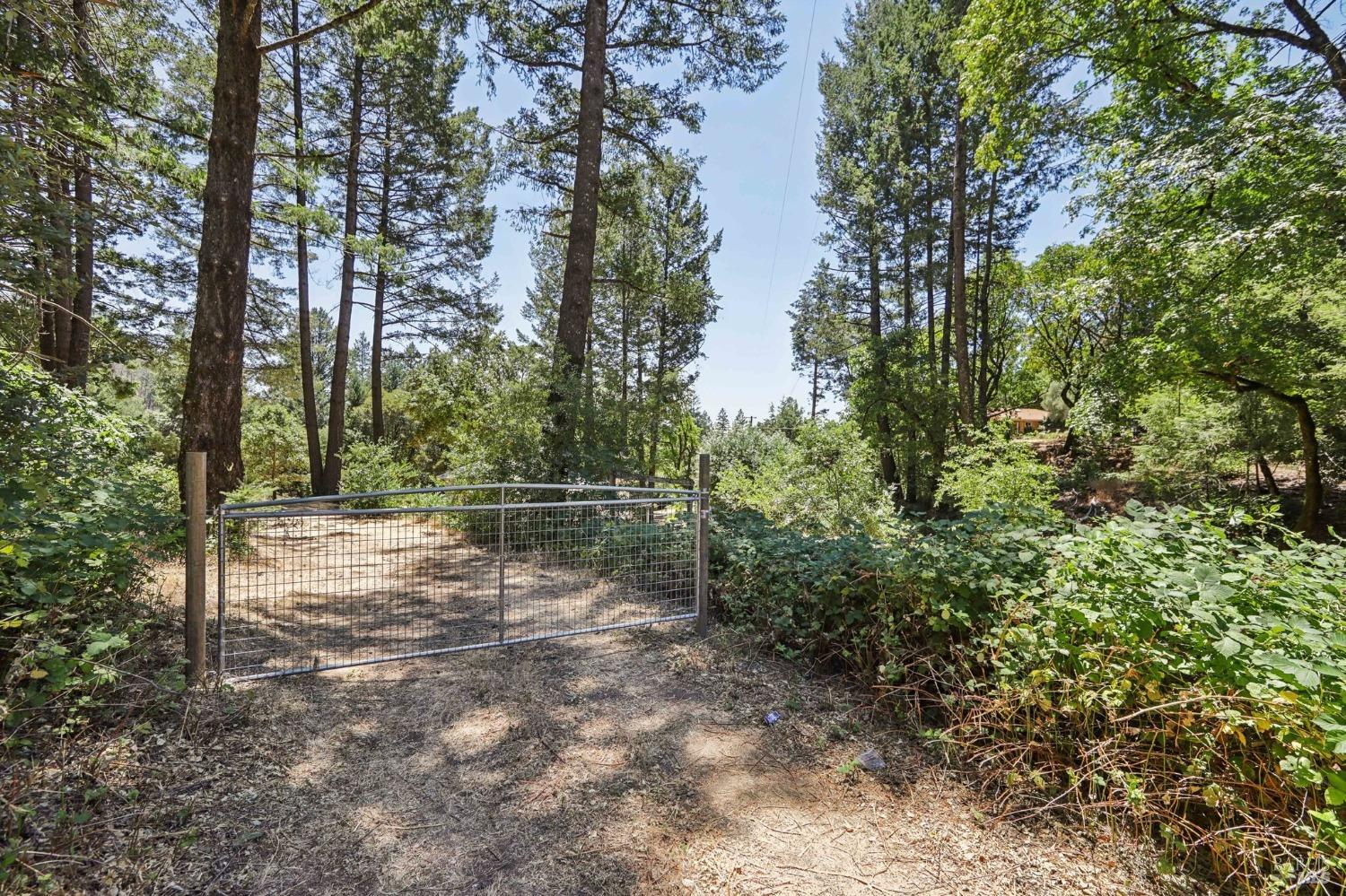 4601 Lake County Highway Calistoga CA 94515
