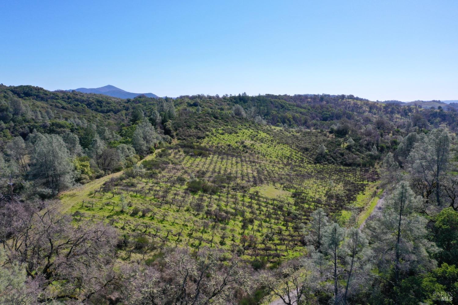 32400 Pine Mountain Road Cloverdale CA 95425