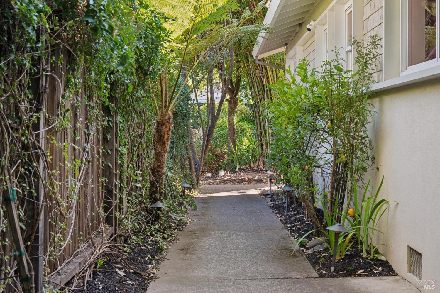 49 Karl Avenue San Anselmo CA 94960