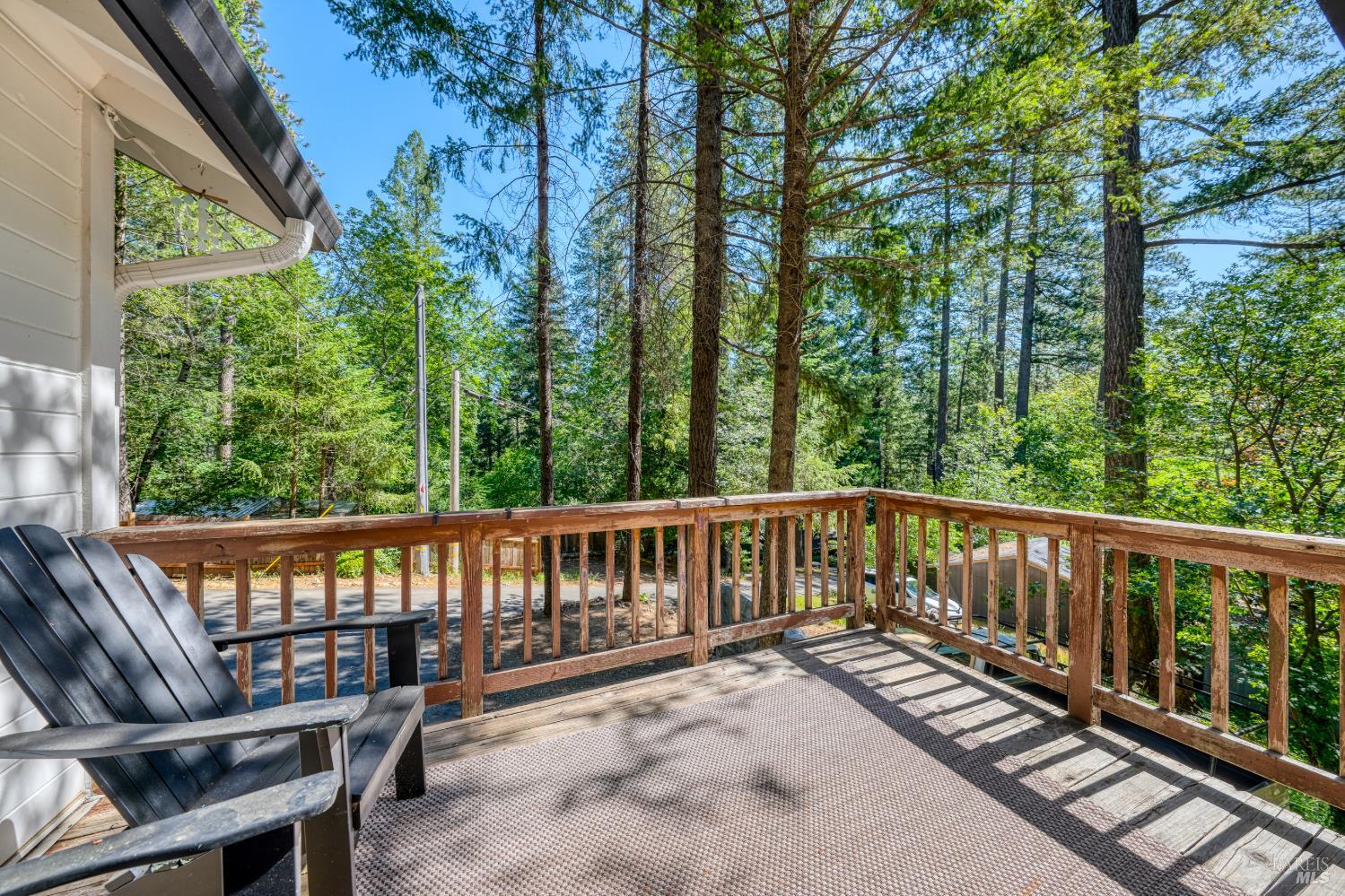 17301 Dogwood Way Middletown CA 95461