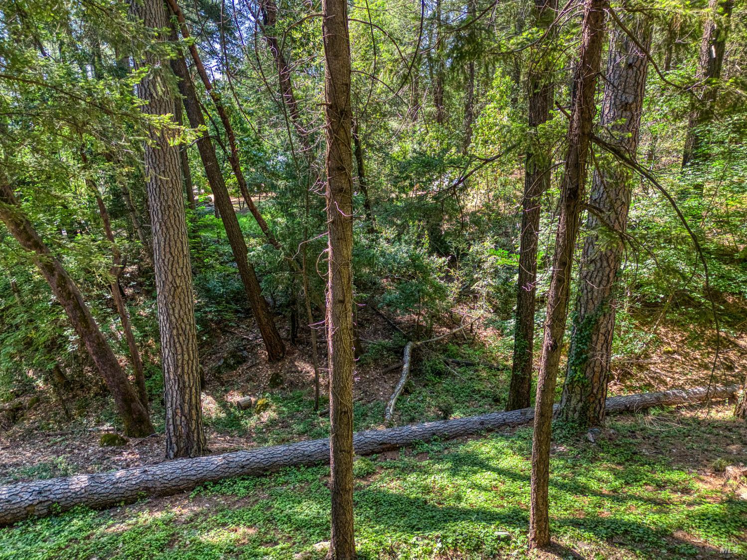 17301 Dogwood Way Middletown CA 95461